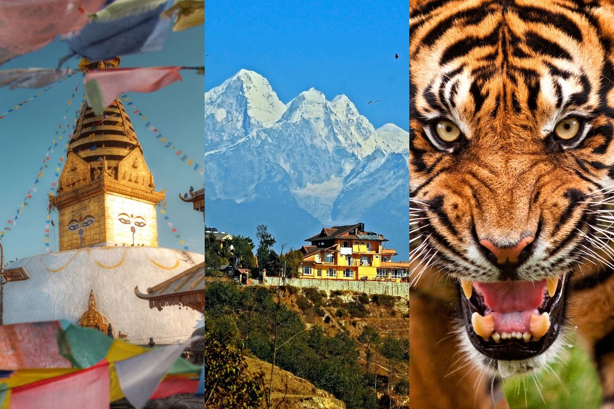 Temple , Mountains and Tiger Tour
